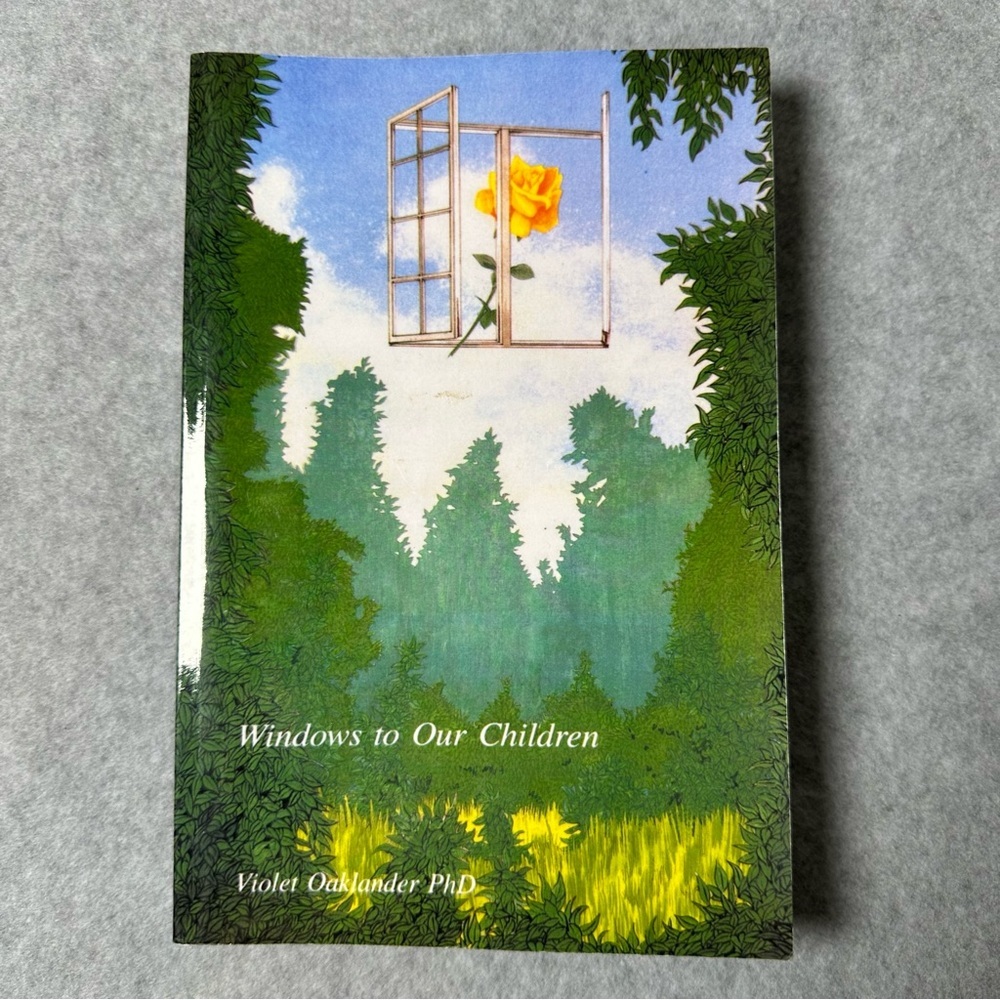 Windows to Our Children‎ Book